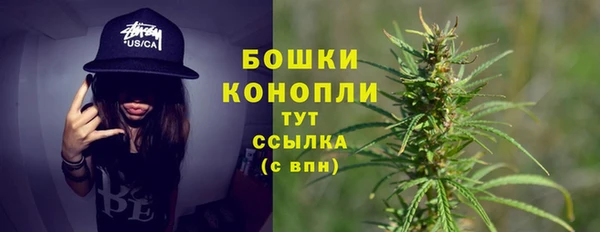 PSILOCYBIN Арсеньев