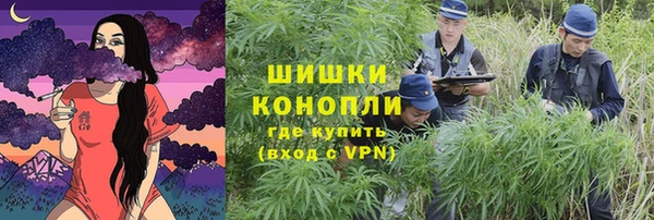 не бодяженный Аркадак