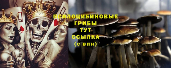 не бодяженный Аркадак