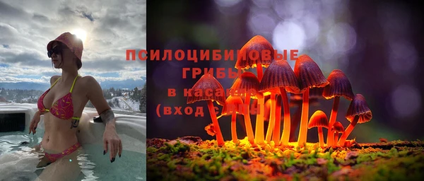 PSILOCYBIN Арсеньев